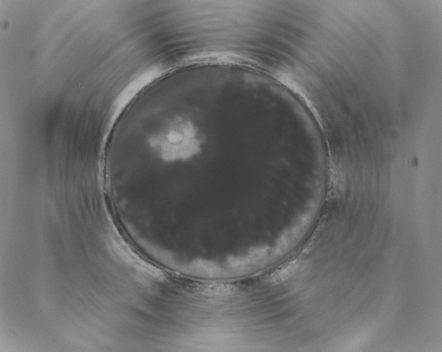 X0000088591090200706081322