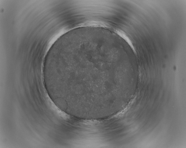 X0000088591091200706081322