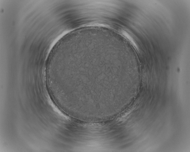 X0000088591092200706081322