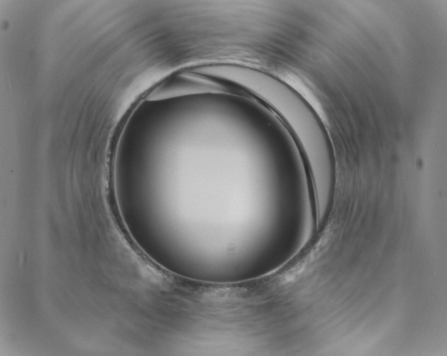 X0000088591093200706081322