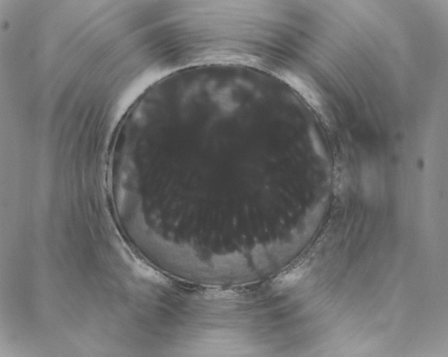 X0000088591094200706081322