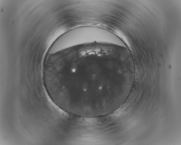 X0000088591095200706081322