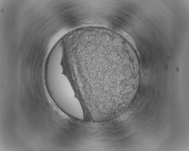 X0000088591096200706081322