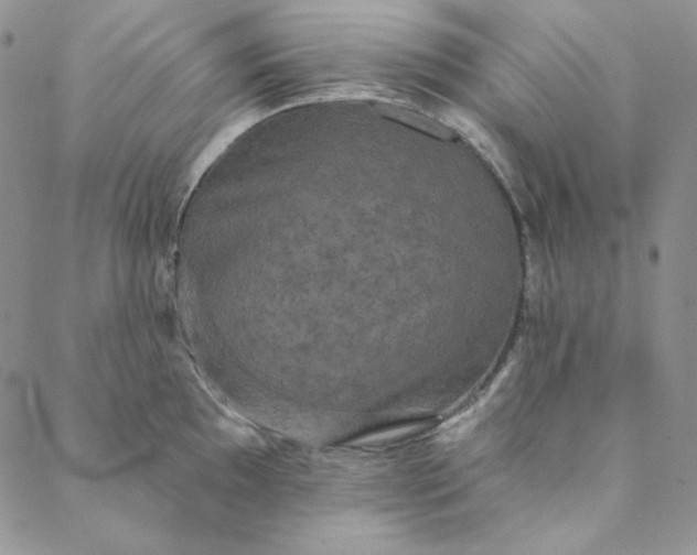 X0000088591097200706081322