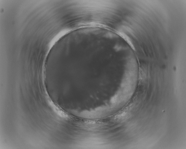 X0000088591098200706081322