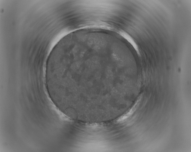 X0000088591099200706081322