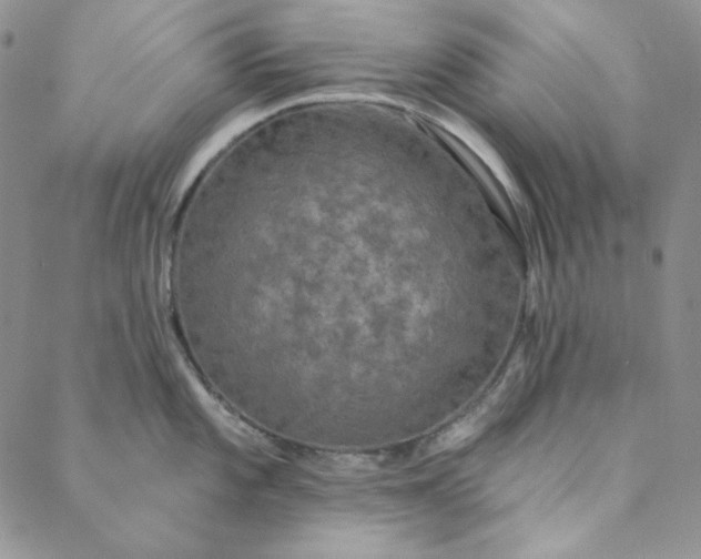 X0000088591101200706081321