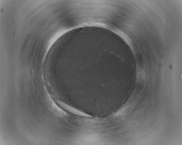 X0000088591102200706081321