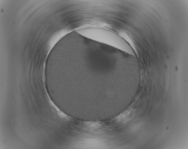 X0000088591103200706081321