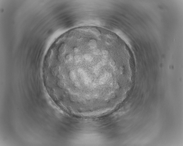 X0000088591104200706081321