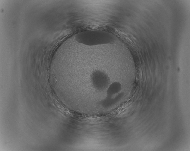 X0000088591105200706081321