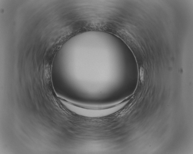 X0000088591107200706081321