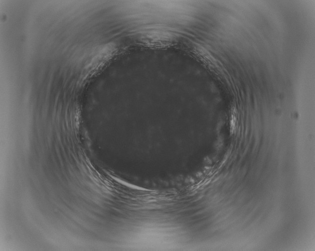 X0000088591108200706081321