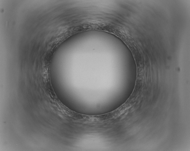 X0000088591109200706081321