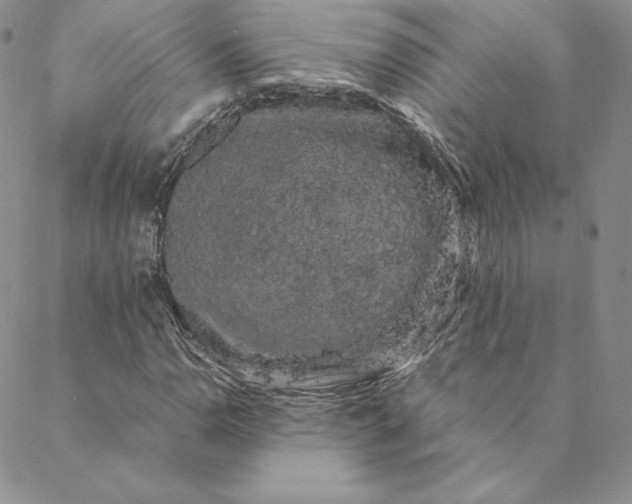 X0000088591110200706081321