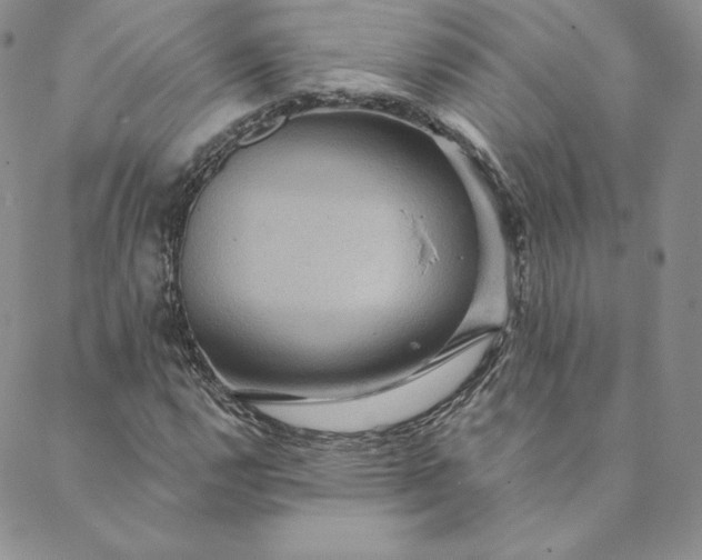 X0000088591112200706081321