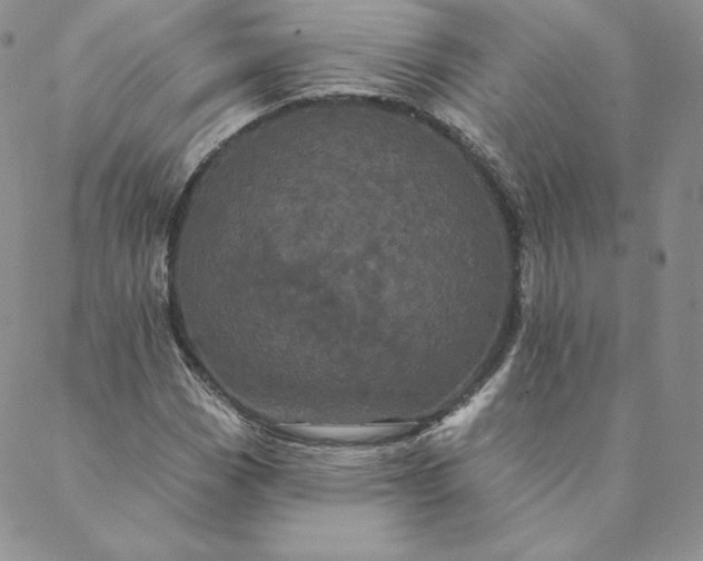 X0000088591113200706081321