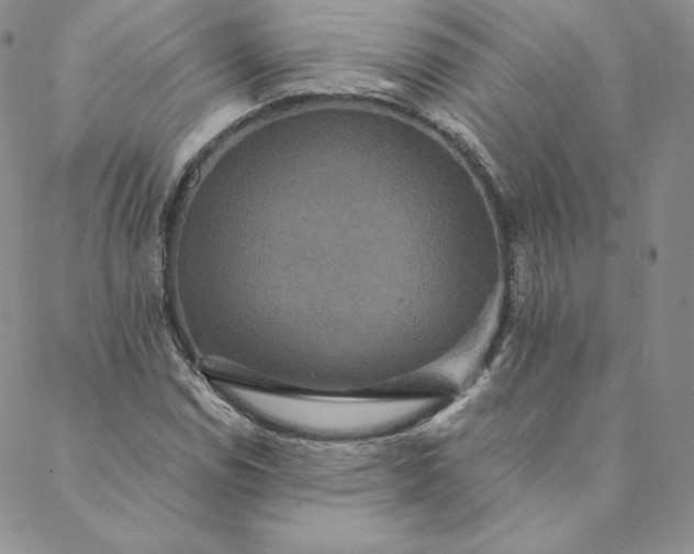 X0000088591114200706081321