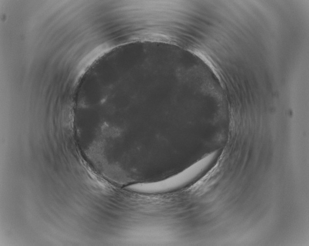 X0000088591115200706081321