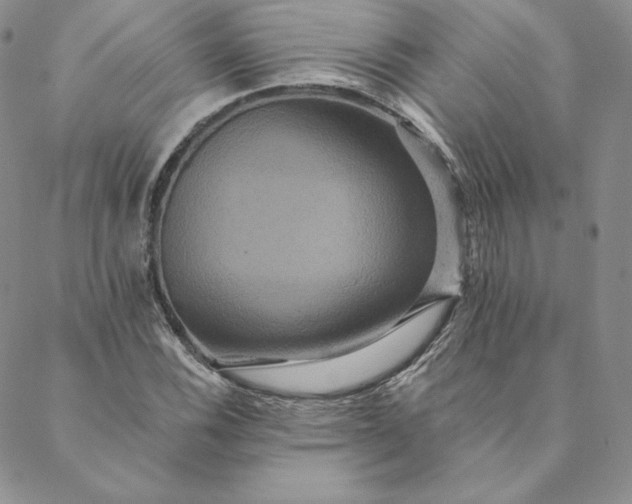 X0000088591116200706081321