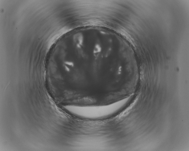 X0000088591117200706081321