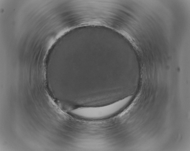 X0000088591118200706081321