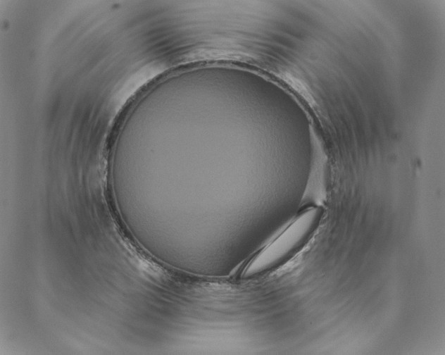 X0000088591119200706081321