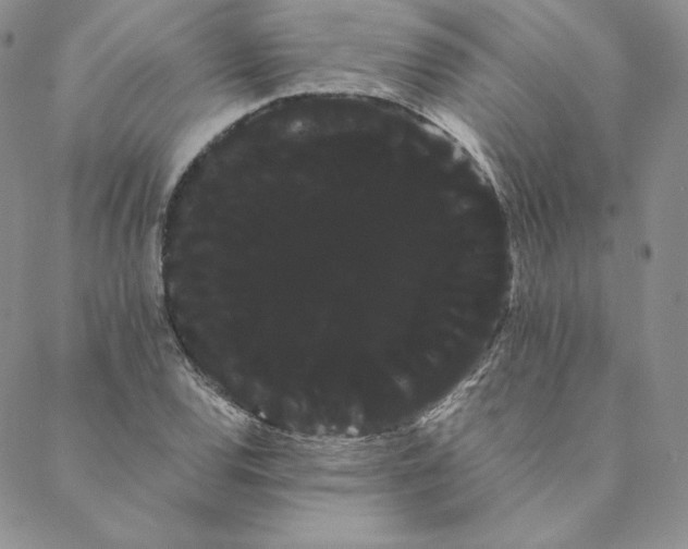 X0000088591120200706081321