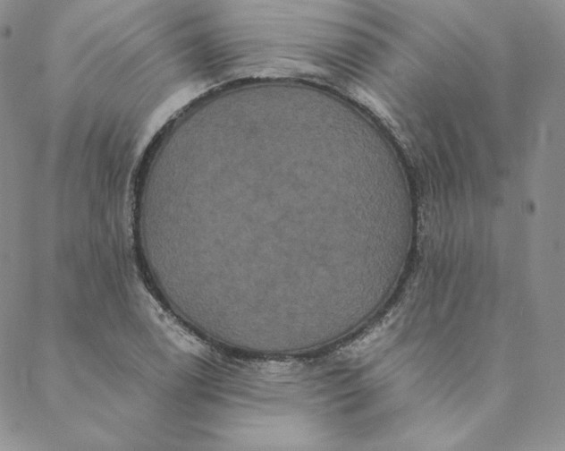 X0000088591122200706081321