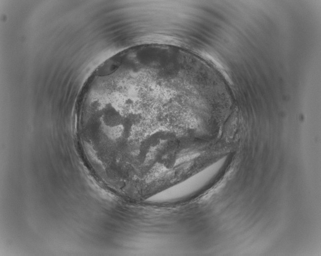 X0000088591125200706081321