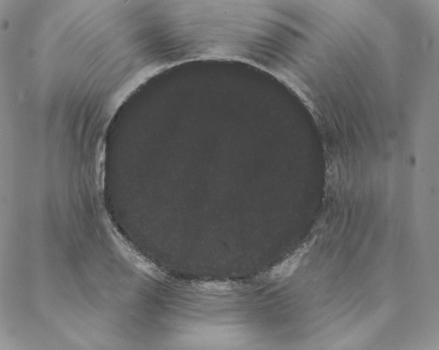 X0000088591126200706081321