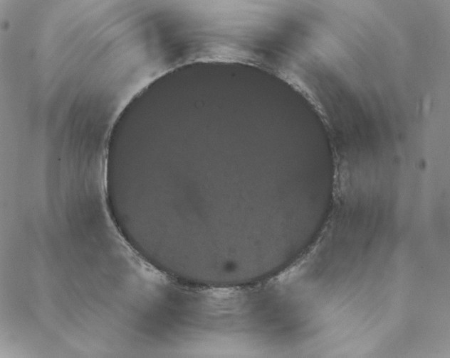 X0000088591130200706081321