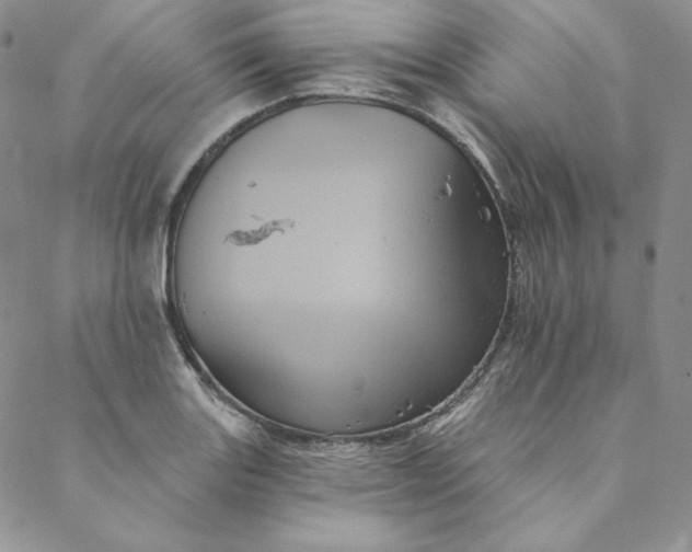 X0000088591131200706081321