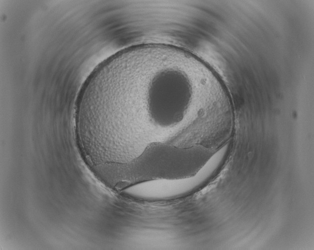 X0000088591133200706081321