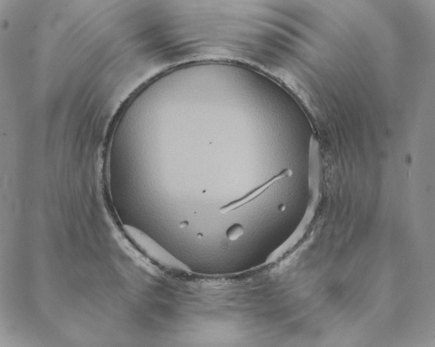 X0000088591134200706081321