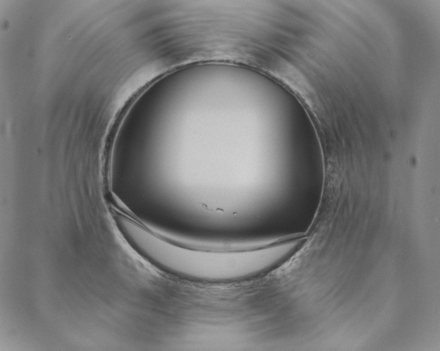 X0000088591135200706081321