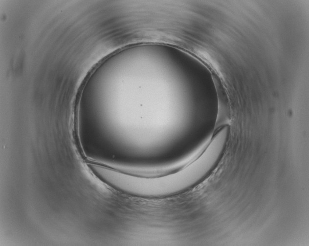 X0000088591136200706081321