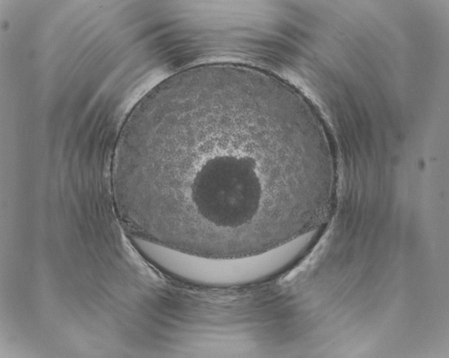 X0000088591137200706081321