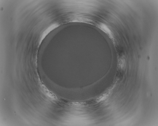 X0000088591138200706081321