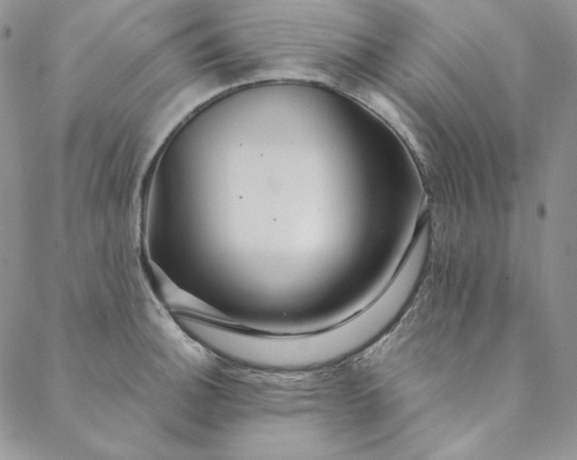 X0000088591140200706081321