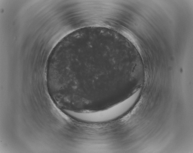 X0000088591141200706081321