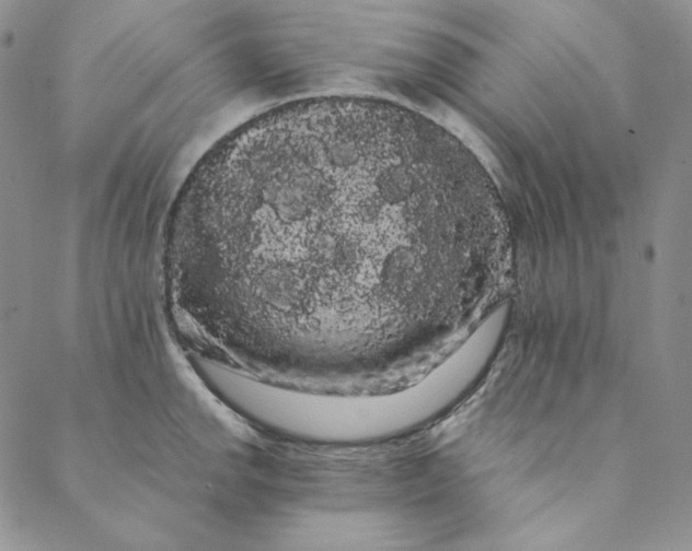 X0000088591142200706081321