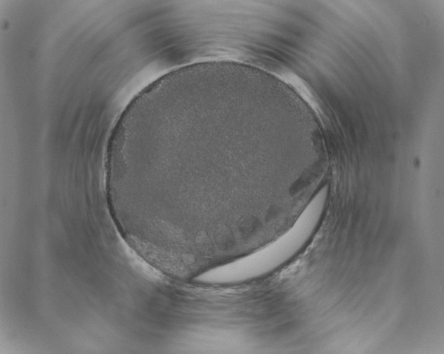 X0000088591143200706081321