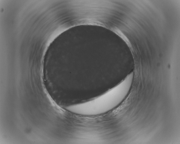 X0000088591144200706081321