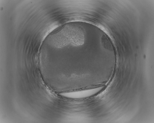 X0000088591145200706081321