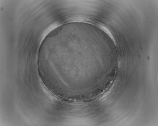 X0000088591146200706081321