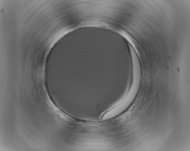 X0000088591147200706081321