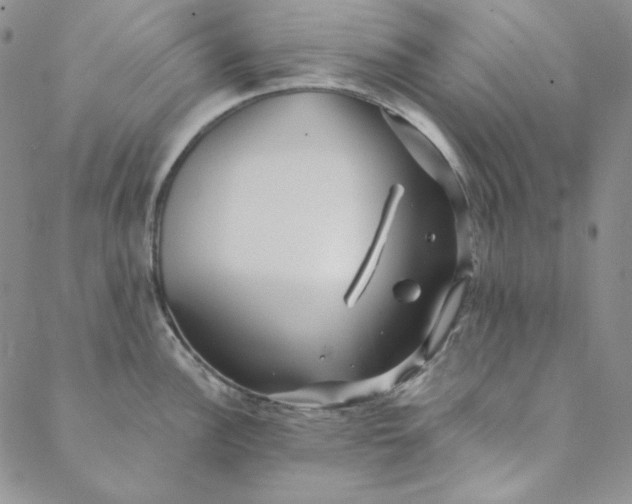 X0000088591148200706081321