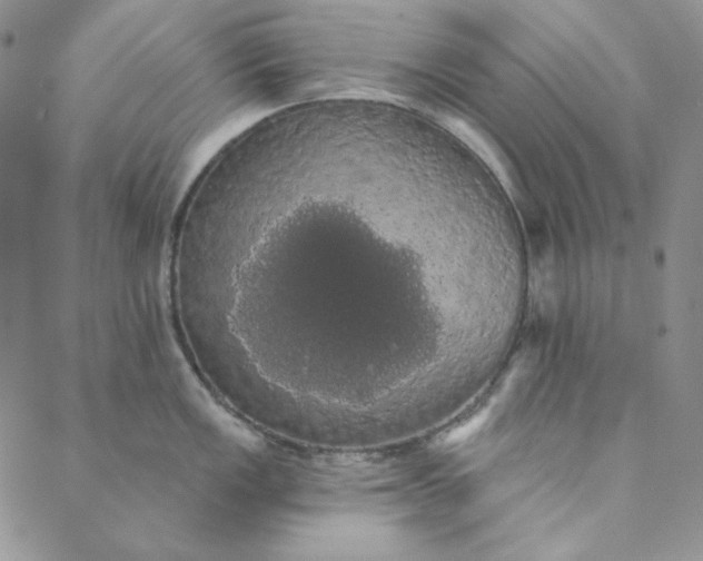 X0000088591149200706081321