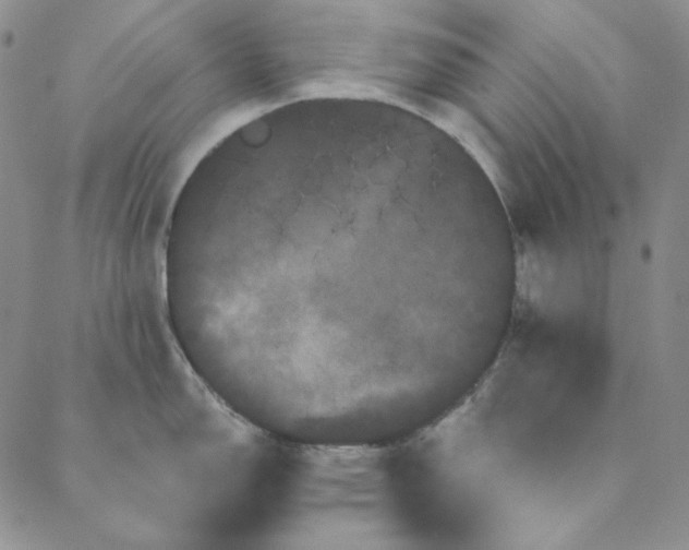 X0000088591150200706081321